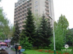 32-magnoliya